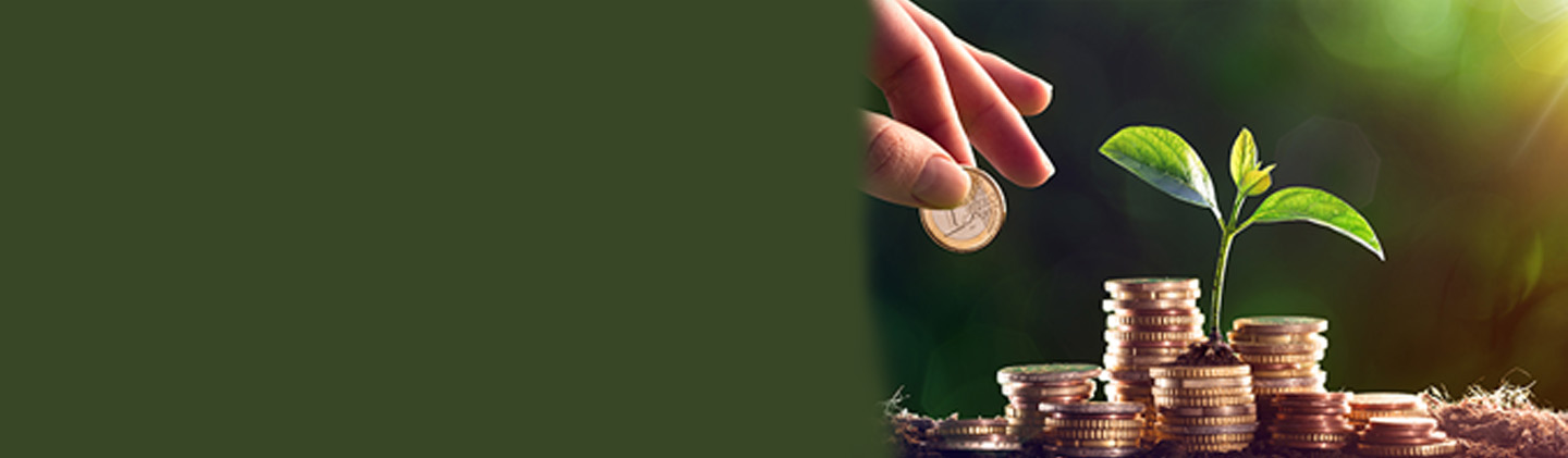5 Steps to Start Online SIP